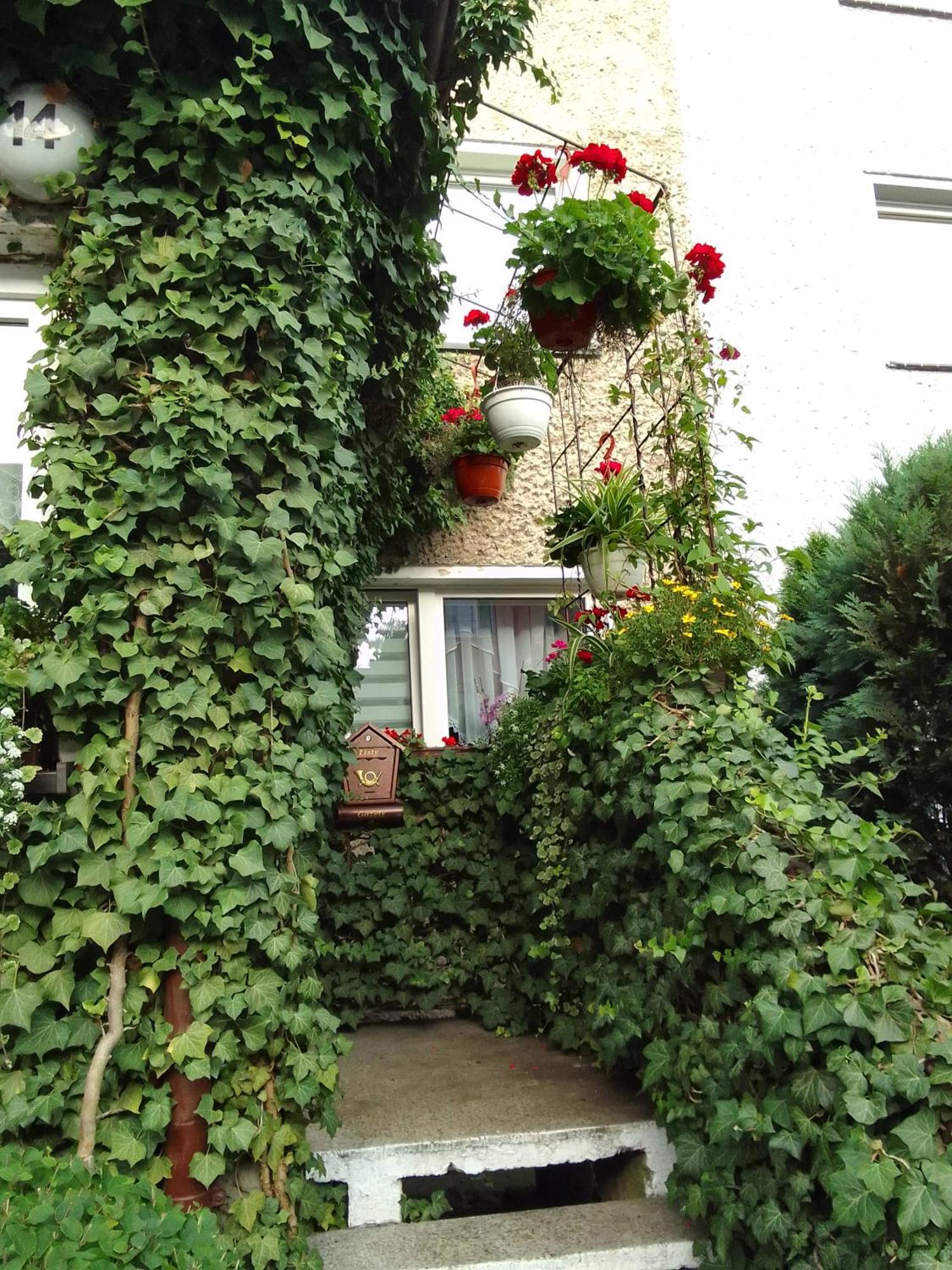 Apartamento Pod Bluszczem Świnoujście Habitación foto